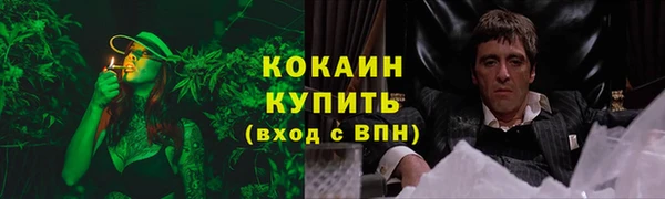 тгк Армянск